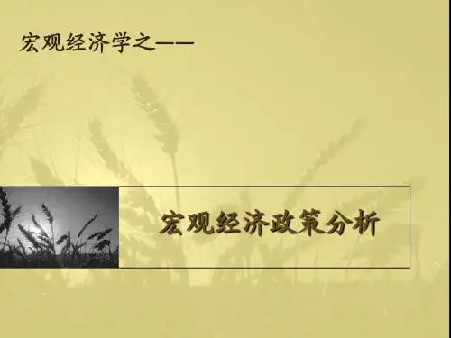 宏观经济学：宏观经济政策分析