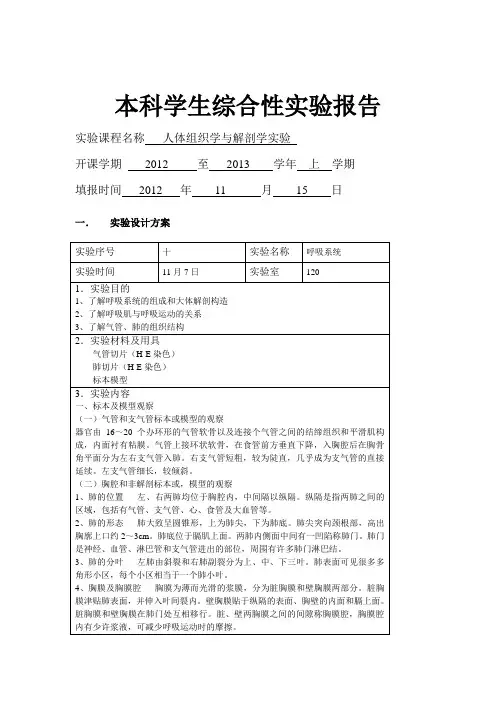 呼吸系统-综合性实验报告