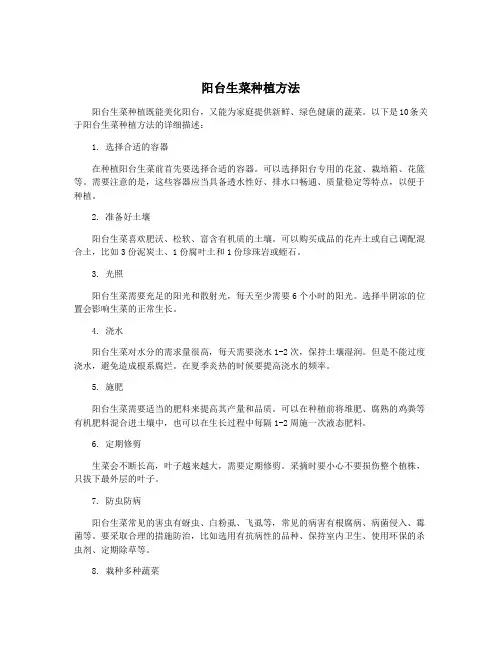 阳台生菜种植方法