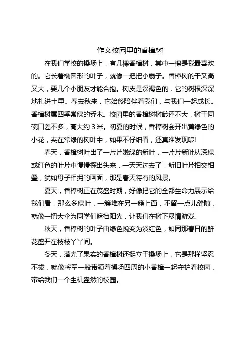 同步作文校园里的香樟树