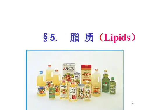 第五章 脂质PPT课件
