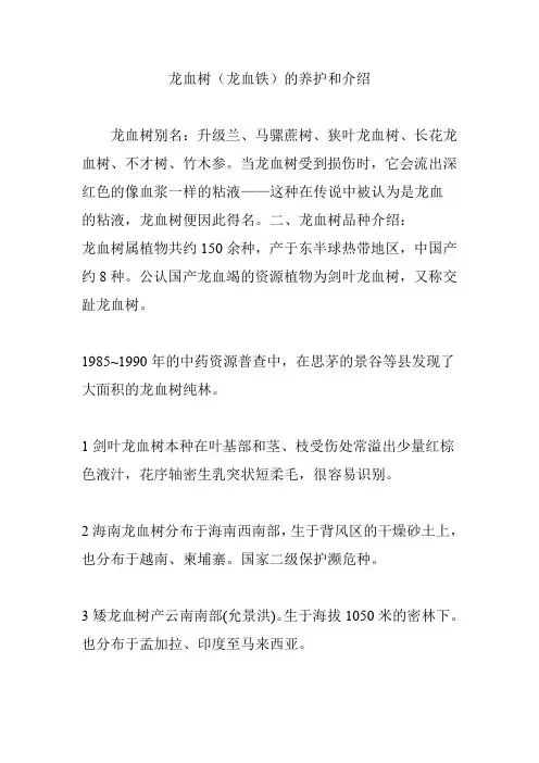 (完整word版)龙血树(龙血铁)的养护和介绍(word文档良心出品)