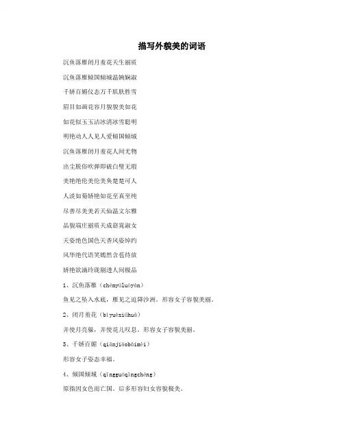 描写外貌美的词语
