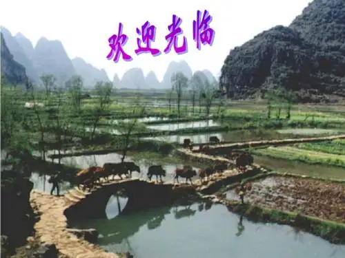 人教版高中历史必修1第二单元第6课 罗马法的起源与发展(共27张PPT)