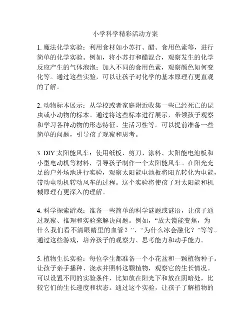 小学科学精彩活动方案