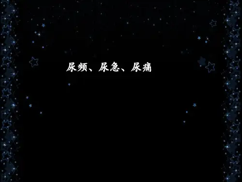 诊断学尿频尿急尿痛ppt课件