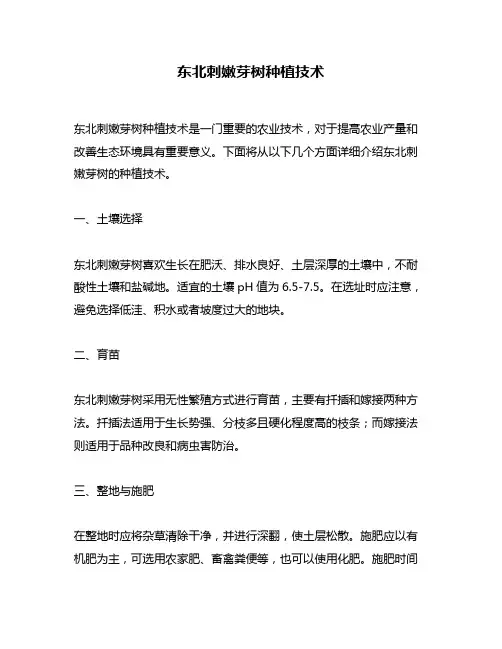 东北刺嫩芽树种植技术 2