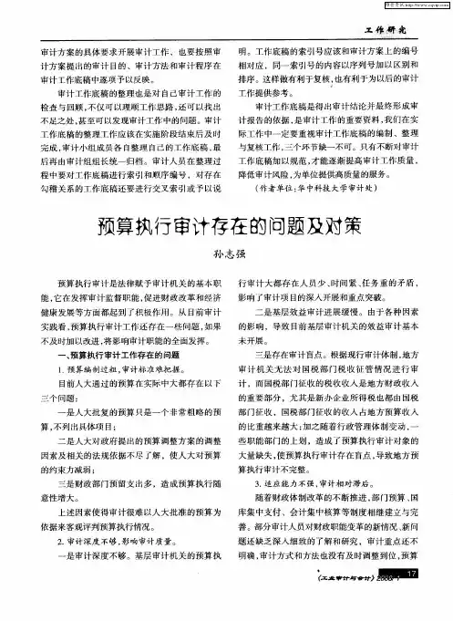 预算执行审计存在的问题及对策