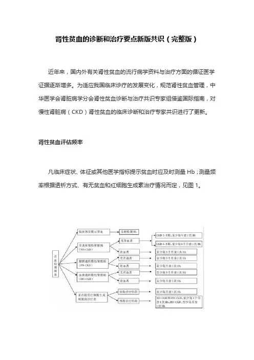 肾性贫血的诊断和治疗要点新版共识(完整版)