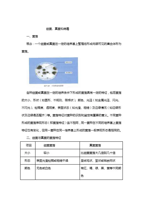 2018年人教版九年级生物中考复习_细菌、真菌和病毒知识点总结.