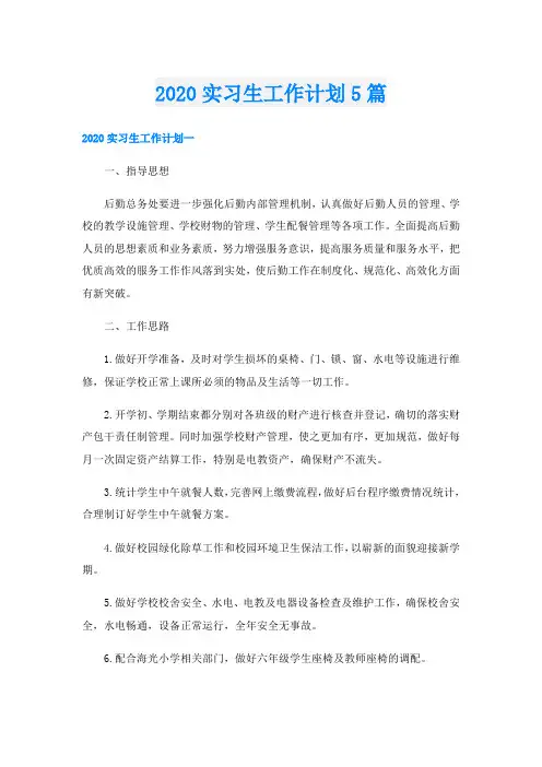 实习生工作计划5篇
