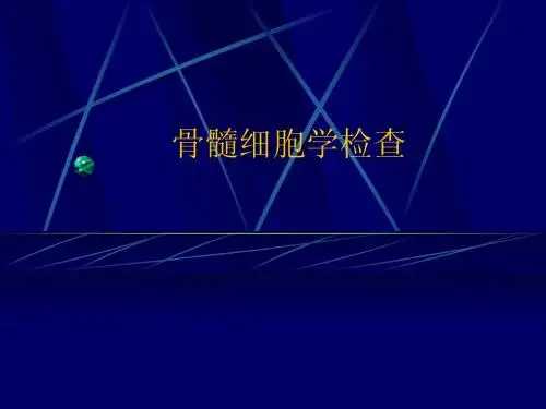骨髓检查