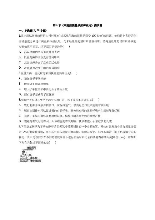 2019-2020人教版高一生物必修1第5章《细胞的能量供应和利用》测试卷含解析