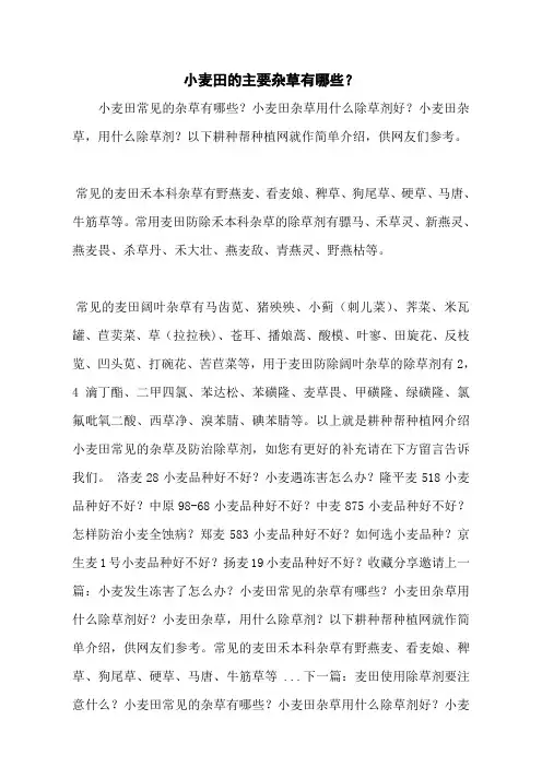 小麦田的主要杂草有哪些？