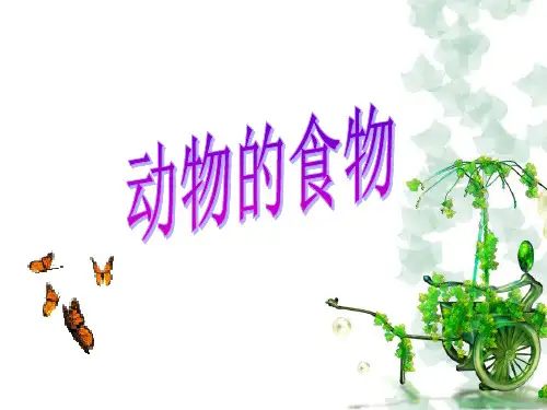 五年级上册科学课件-1.5动物的食物｜冀教版共20张PPT