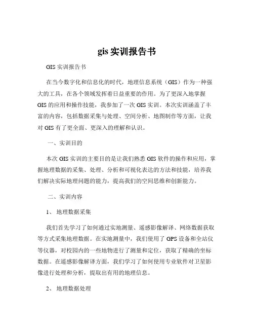 gis实训报告书