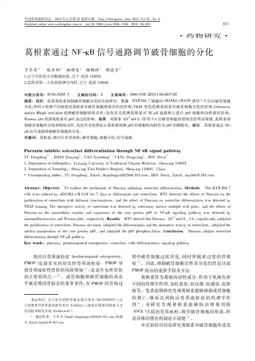 葛根素通过NF-кB信号通路调节破骨细胞的分化