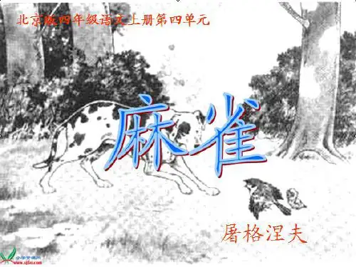 四年级语文上册《麻雀》课件-PPT