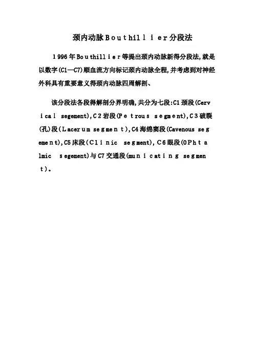 颈内动脉分段解剖