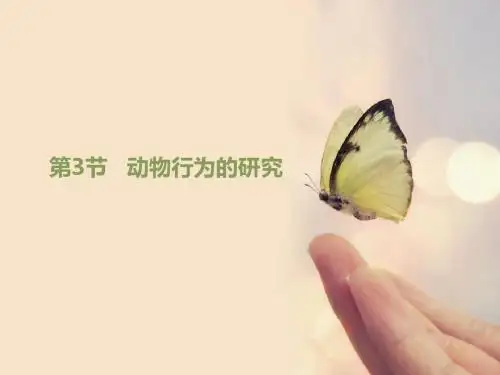 北师大版八年级生物上册16.3 动物行为的研究 (共29张PPT)