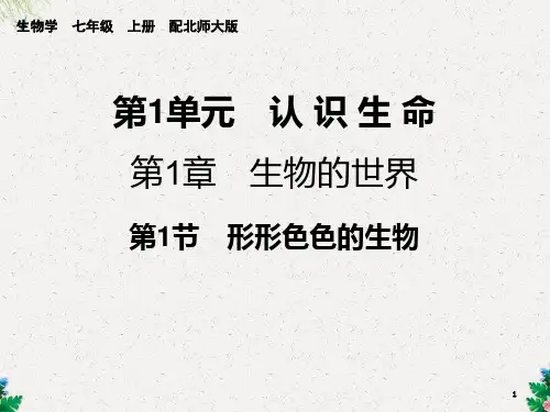 七年级北师大版生物上册课件：第1章  第1节 