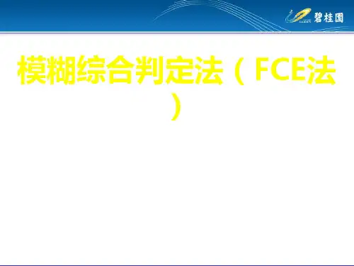 模糊综合评价法(终版)