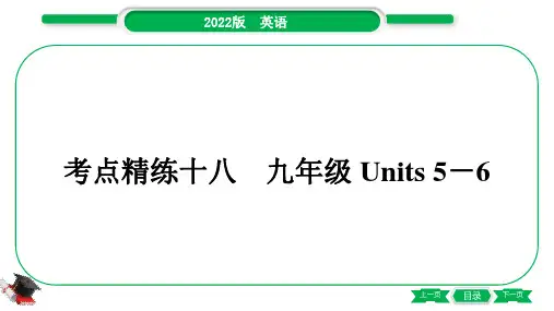 2022年人教版中考英语教材考点精练十八 九年级Units 5-6