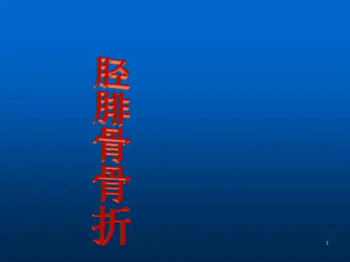 胫腓骨骨折ppt课件