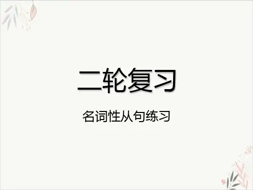 高考英语二轮复习专项语法名词性从句练习