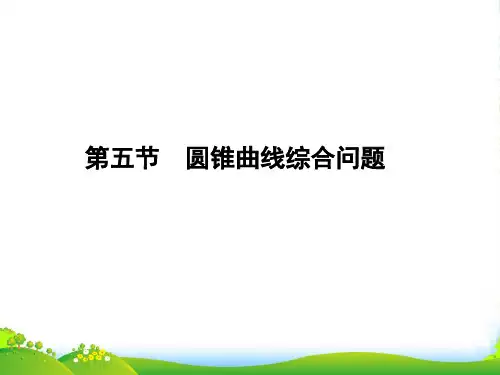 高考数学理一轮复习 8-5圆锥曲线综合问题 课件