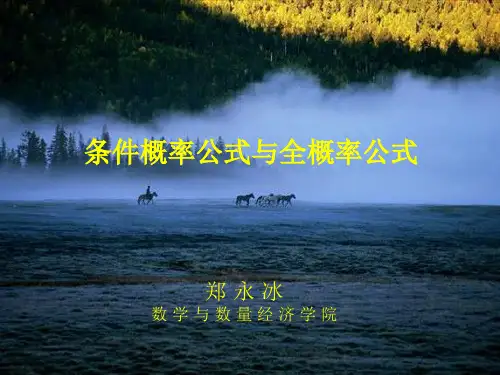 条件概率公式与全概率公式