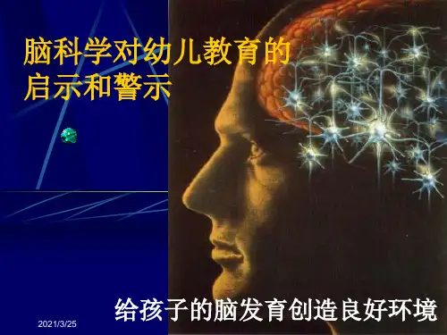 脑科学对早期教育的启示和警示PPT课件