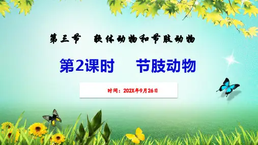 人教版八年级上册生物 第一章第三节 节肢动物 课件