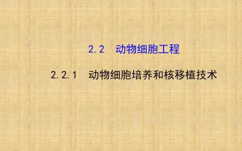 【全程方略】高中生物 专题2 细胞工程2.2.1动物细胞培养和核移植技术精讲导学名师优质课件 新人教版选修3