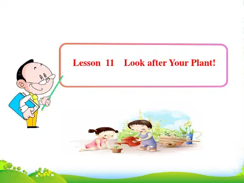 冀教八年级英语下册Unit2 Plant a Plant!Lesson 11课件(共14张PPT)