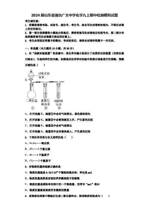 2024届山东省潍坊广文中学化学九上期中检测模拟试题含解析