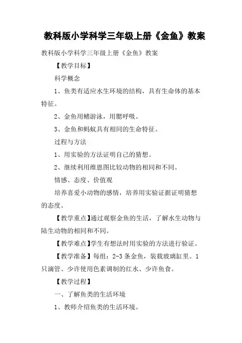 教科版小学科学三年级上册《金鱼》教案