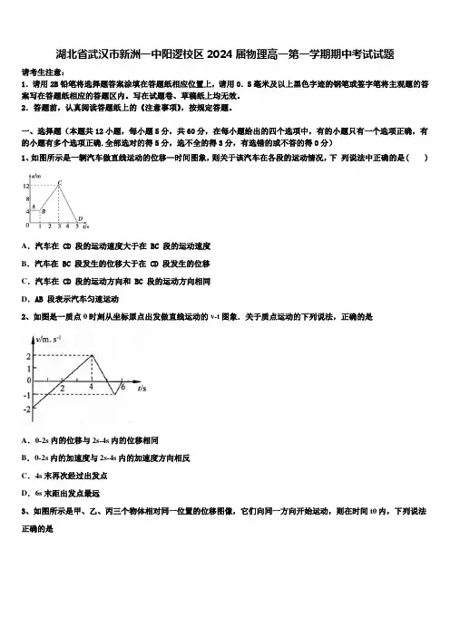湖北省武汉市新洲一中阳逻校区2024届物理高一第一学期期中考试试题含解析