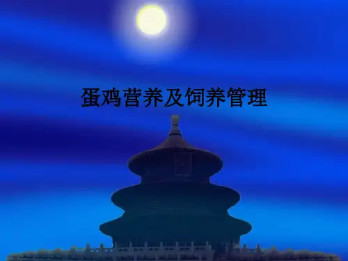 蛋鸡营养及饲养管理ppt课件