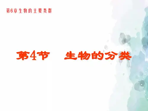 华师大版-科学-七年级上册-《生物的分类》课件