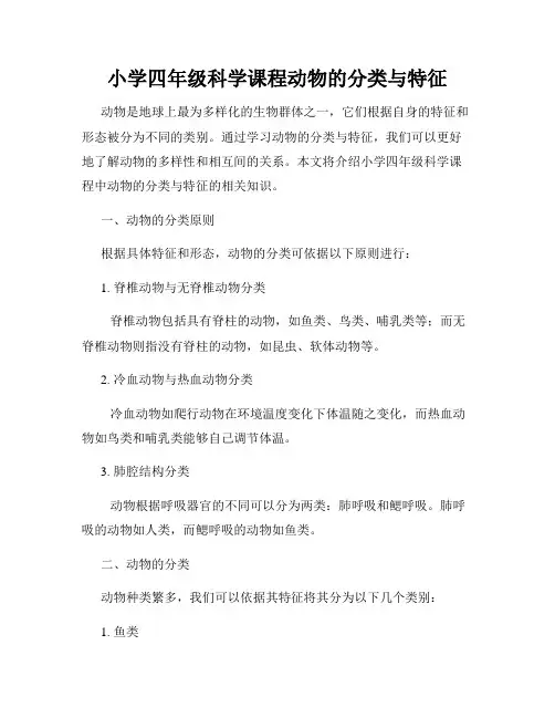 小学四年级科学课程动物的分类与特征