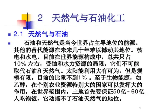 燃气应用新技术--2 天然气与石油化工