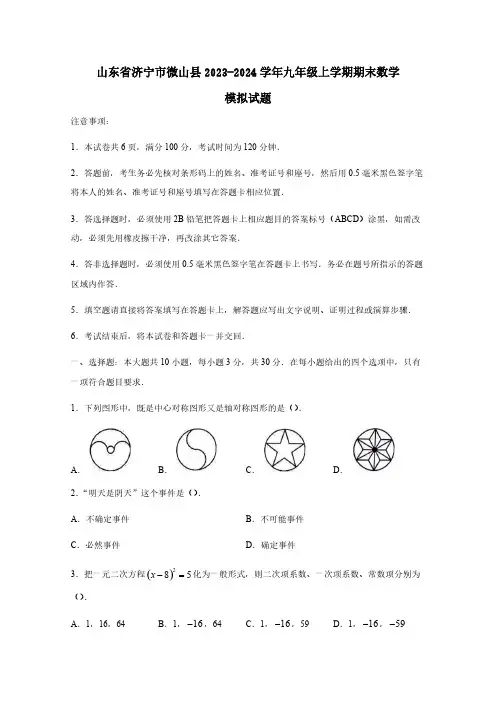 山东省济宁市微山县2023-2024学年九年级上学期期末数学模拟试题(含答案)