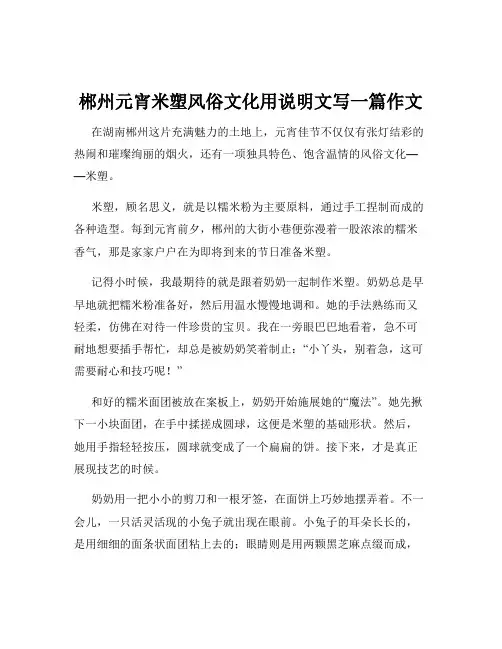 郴州元宵米塑风俗文化用说明文写一篇作文