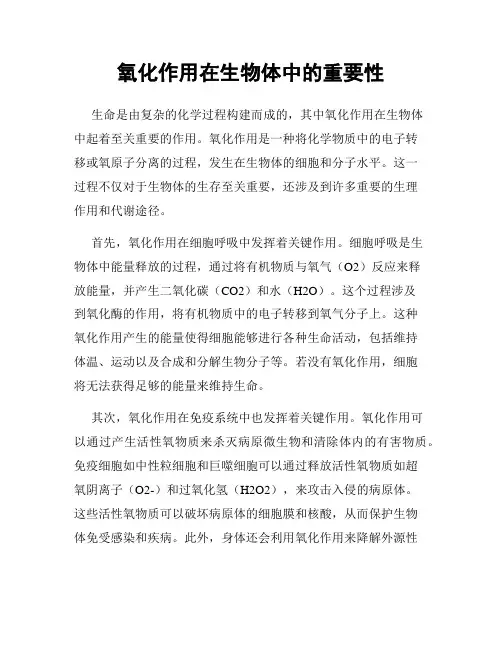 氧化作用在生物体中的重要性