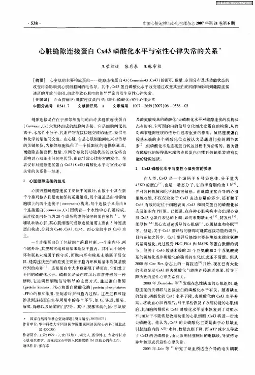 心脏缝隙连接蛋白Cx43磷酸化水平与室性心律失常的关系