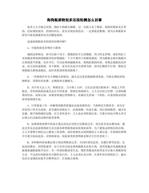 狗狗眼屎特别多还很粘稠怎么回事