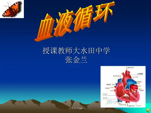 七年级生物《血液循环》完整ppt课件