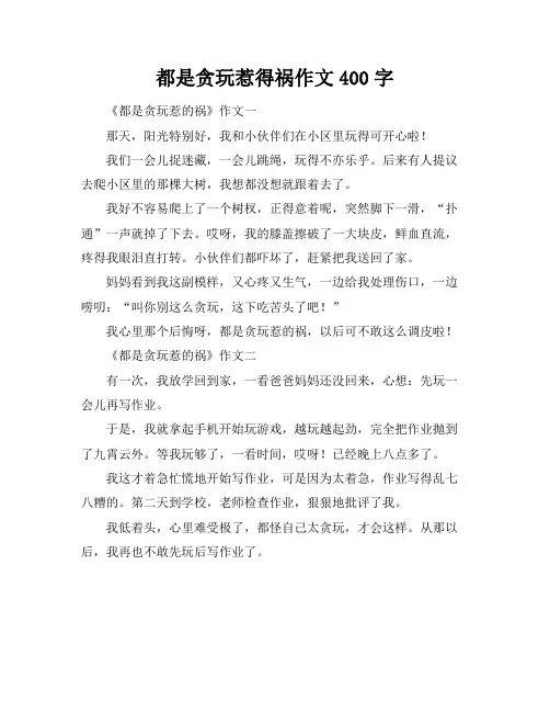 都是贪玩惹得祸作文400字
