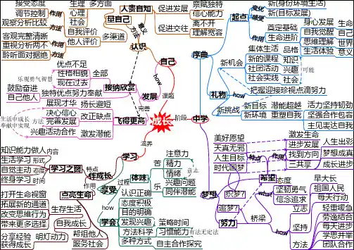 道德与法治(七年级上)册思维导图